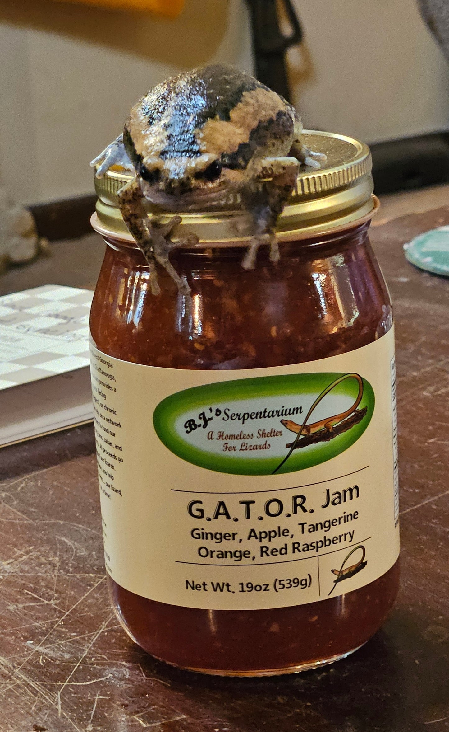G.A.T.O.R. JAM