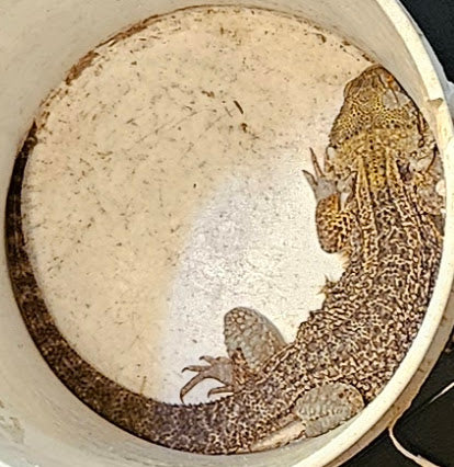 Z DONATE TO SAMMY STAR