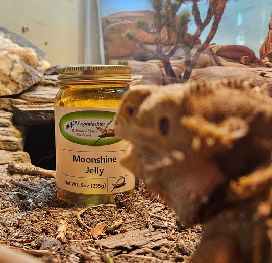MOONSHINE JELLY
