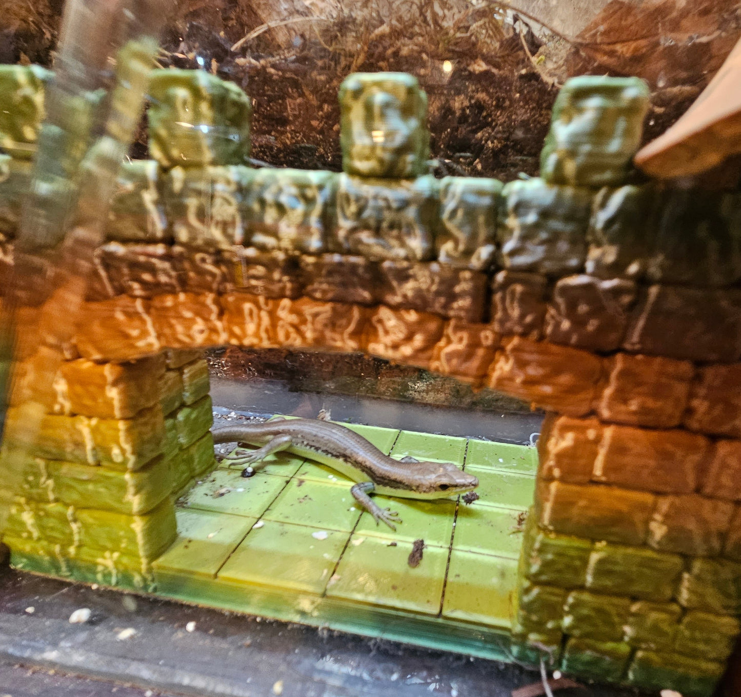 Z  DONATE TO BOB, BOB, BOB, BOB, BOB, & BOB