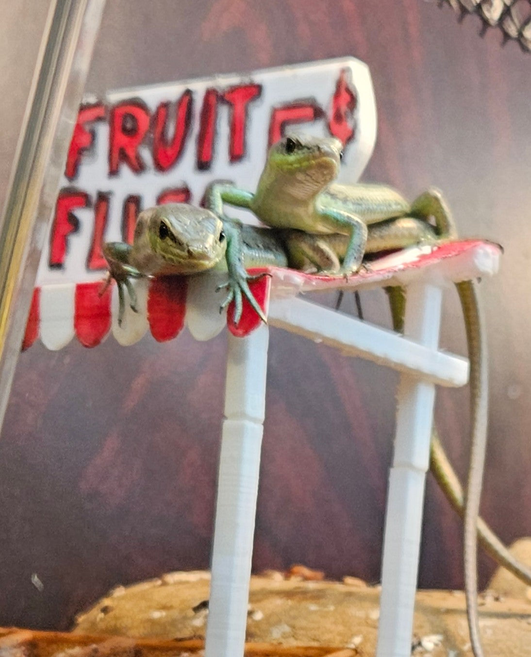 Z  DONATE TO BOB, BOB, BOB, BOB, BOB, & BOB