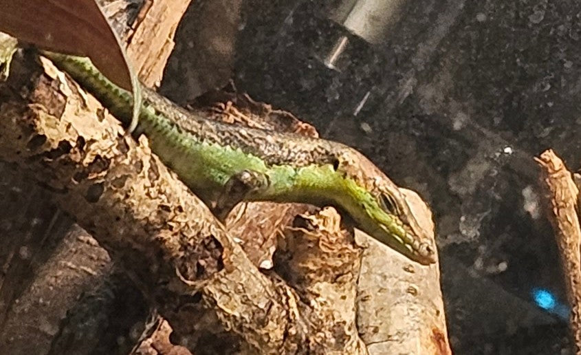 Z  DONATE TO BOB, BOB, BOB, BOB, BOB, & BOB