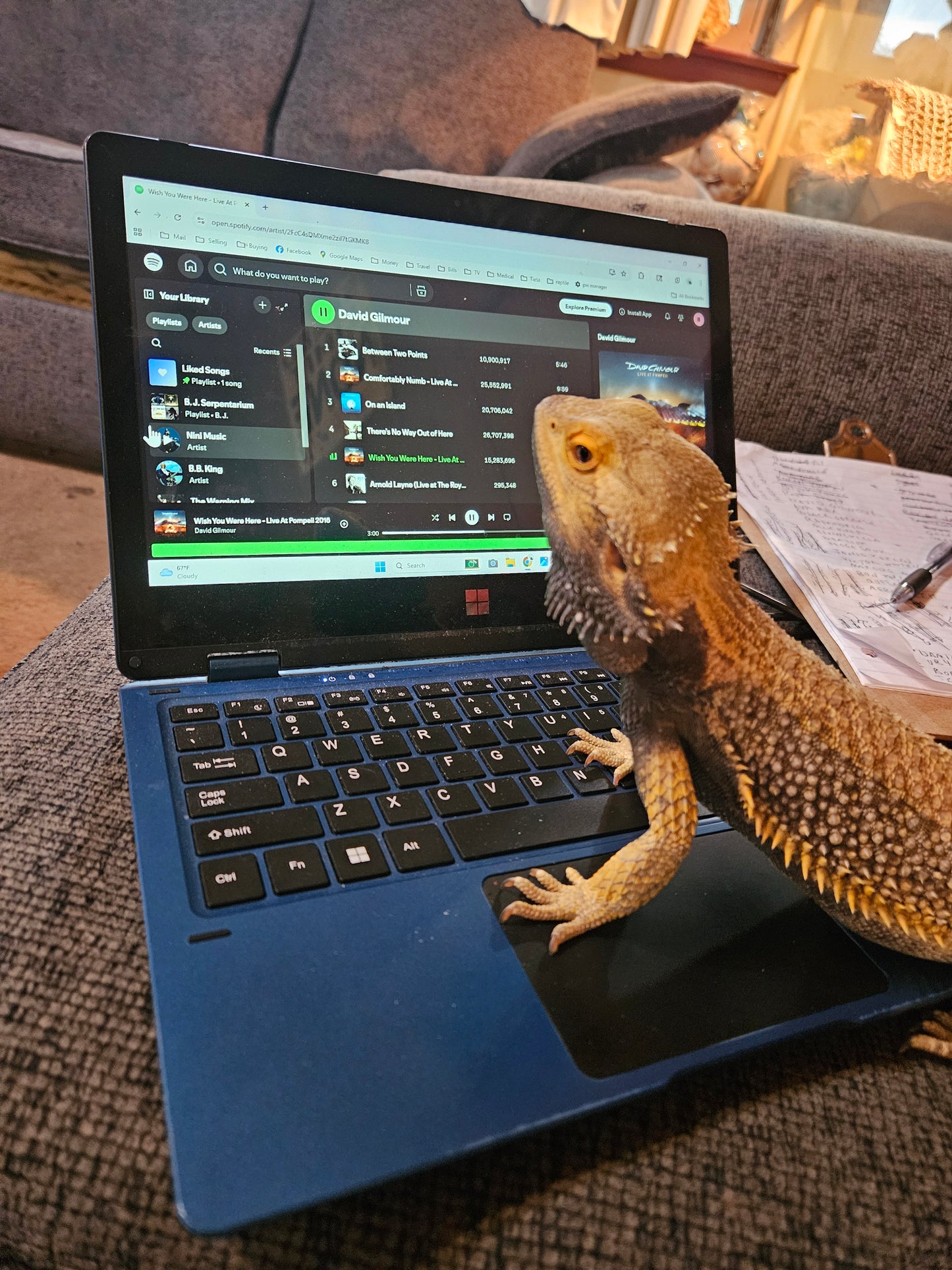 Z  DONATE TO SAMMY STAR