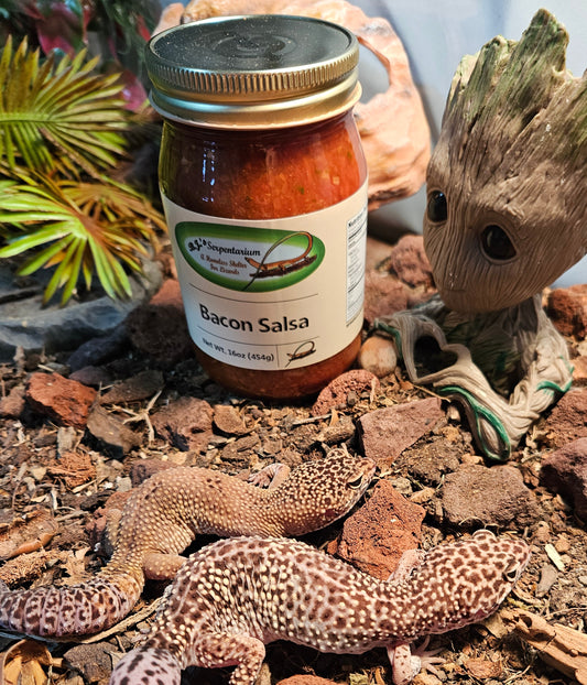 BACON SALSA