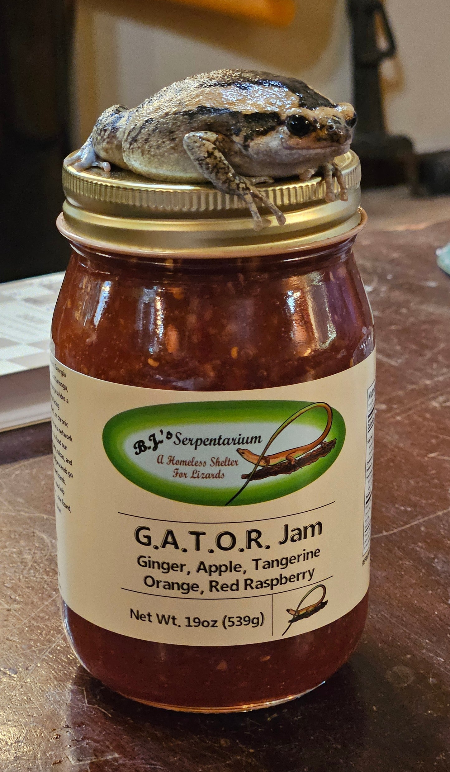 G.A.T.O.R. JAM
