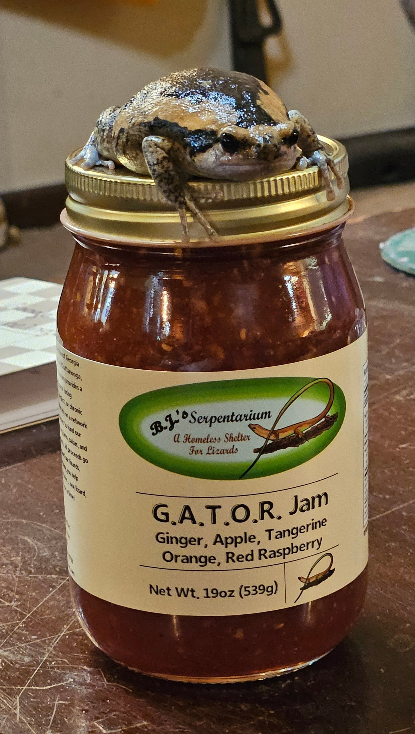 G.A.T.O.R. JAM