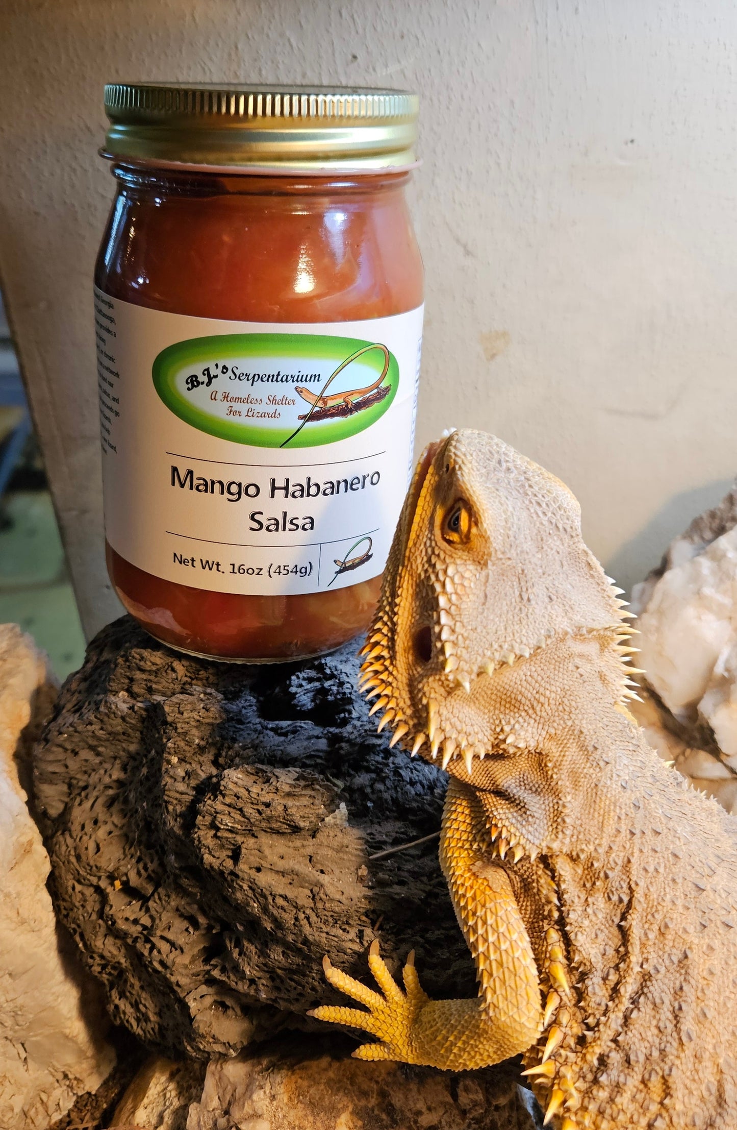 MANGO HABANERO SALSA