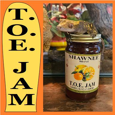 T.O.E. JAM