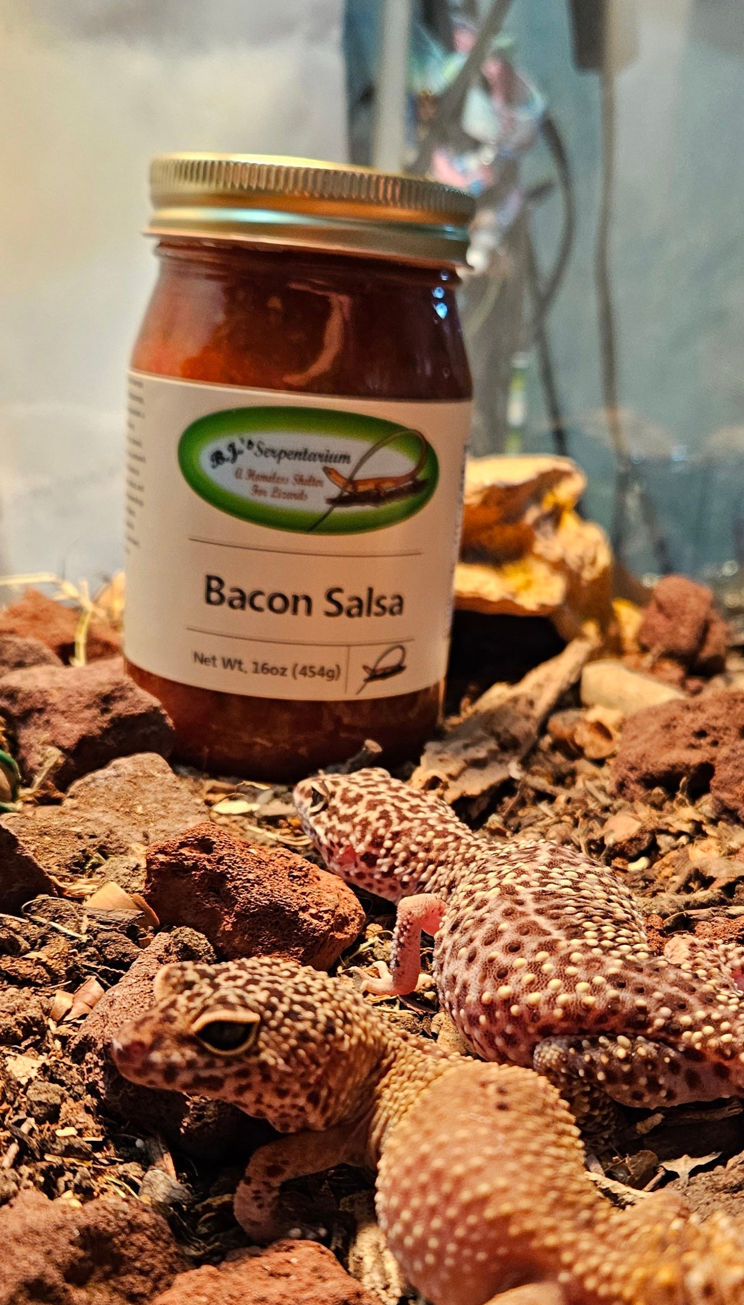 BACON SALSA