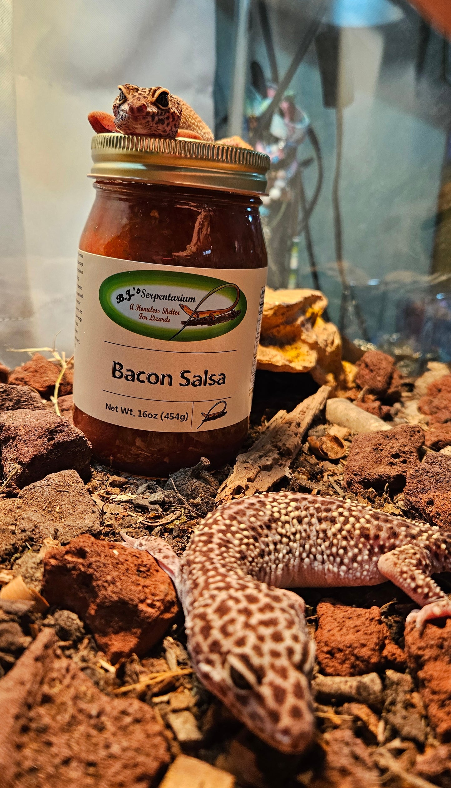 BACON SALSA