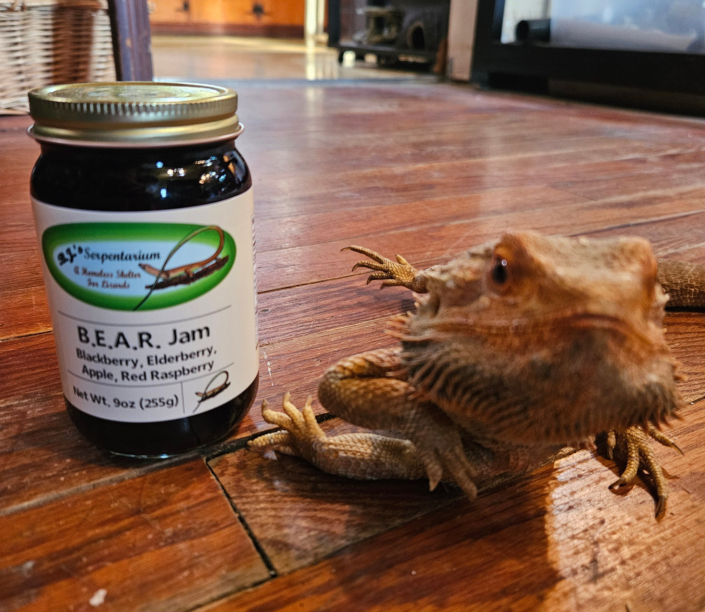 B.E.A.R. JAM