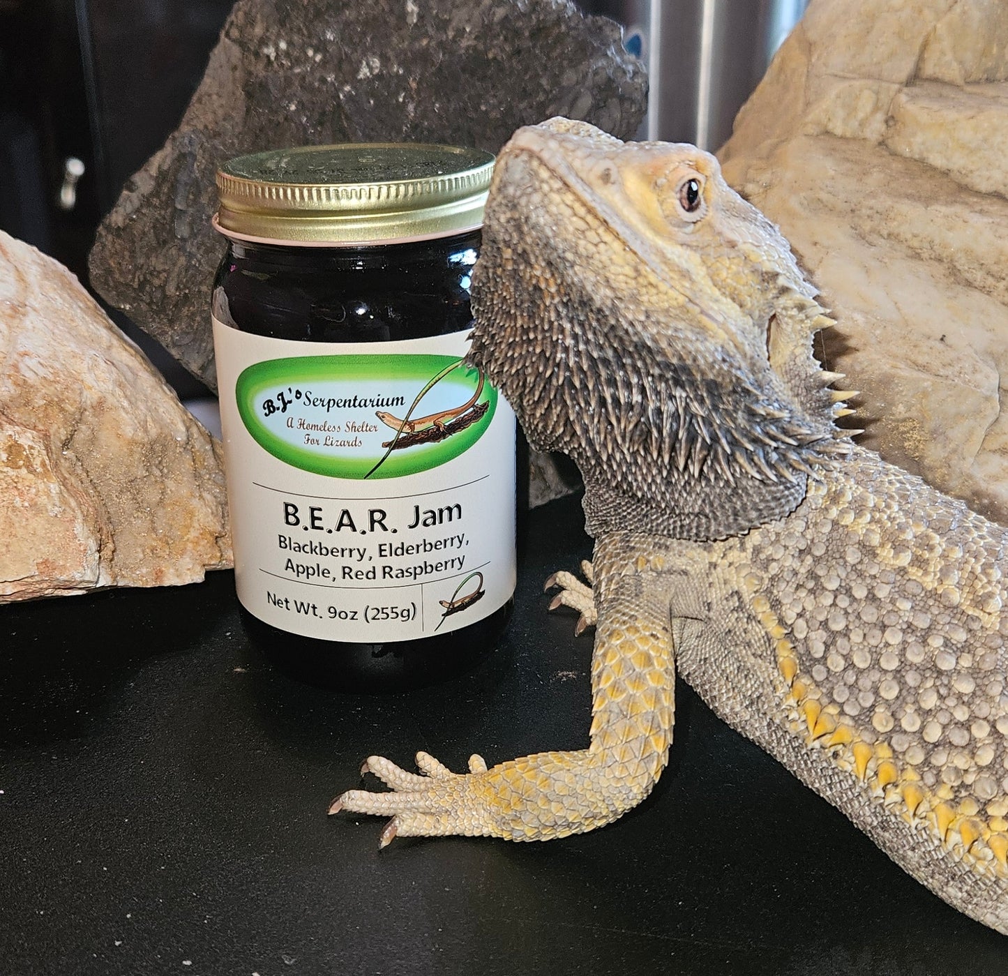 B.E.A.R. JAM
