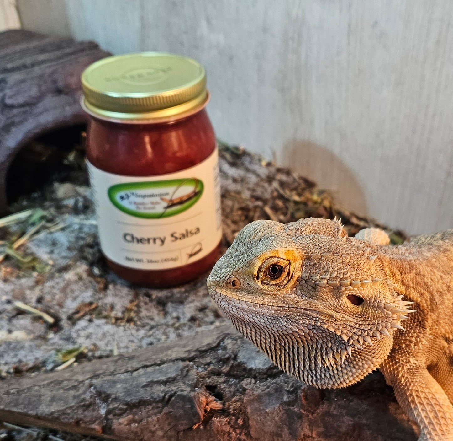 CHERRY SALSA
