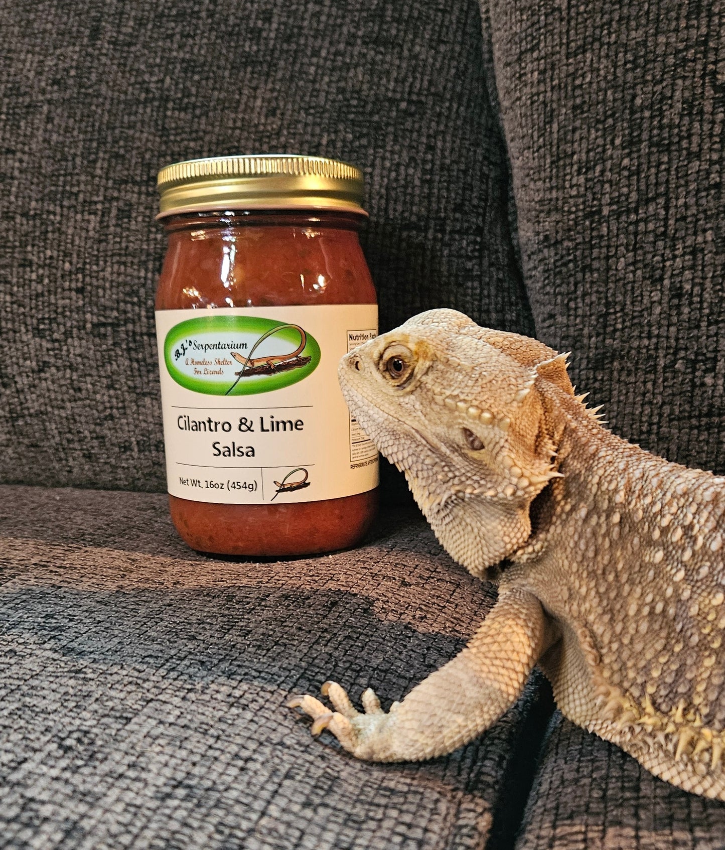 CILANTRO LIME SALSA