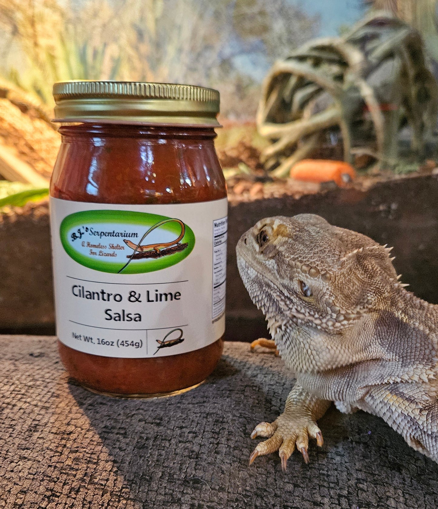 CILANTRO LIME SALSA