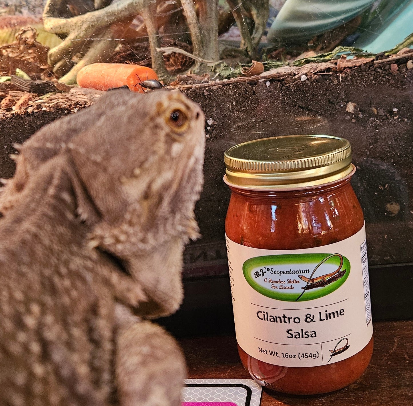 CILANTRO LIME SALSA