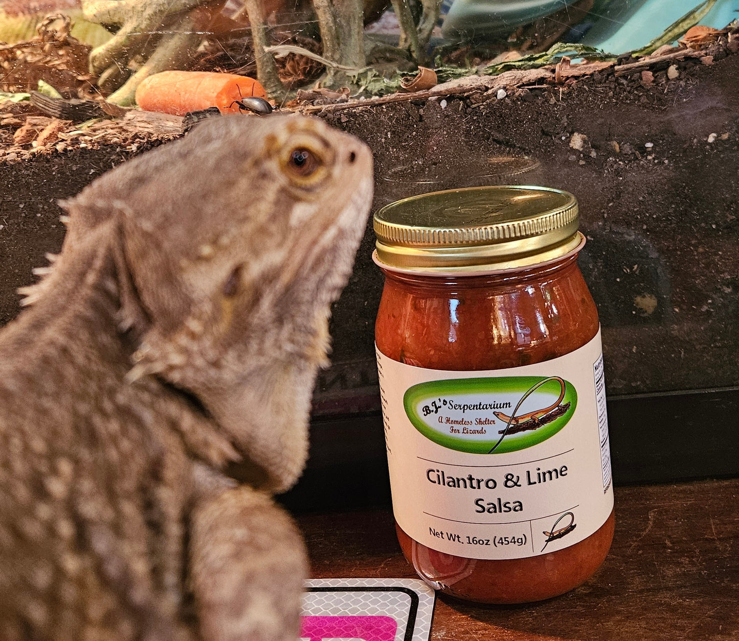 CILANTRO LIME SALSA