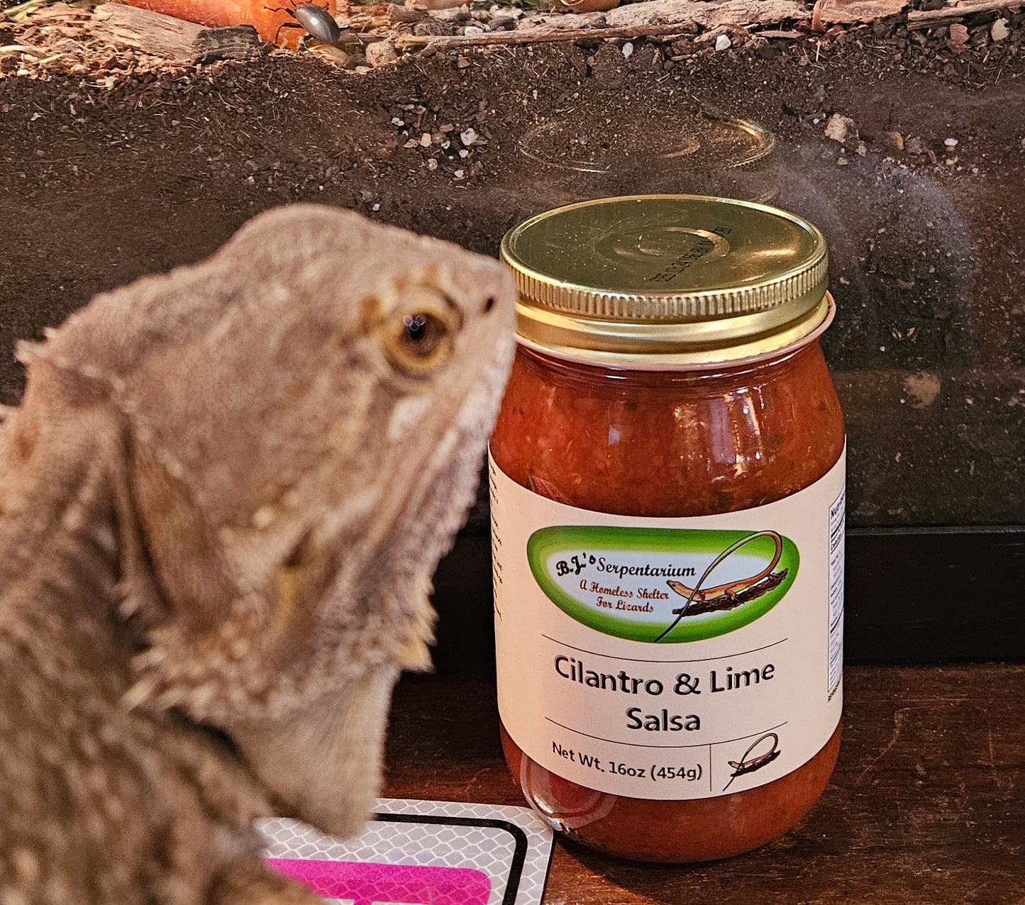 CILANTRO LIME SALSA