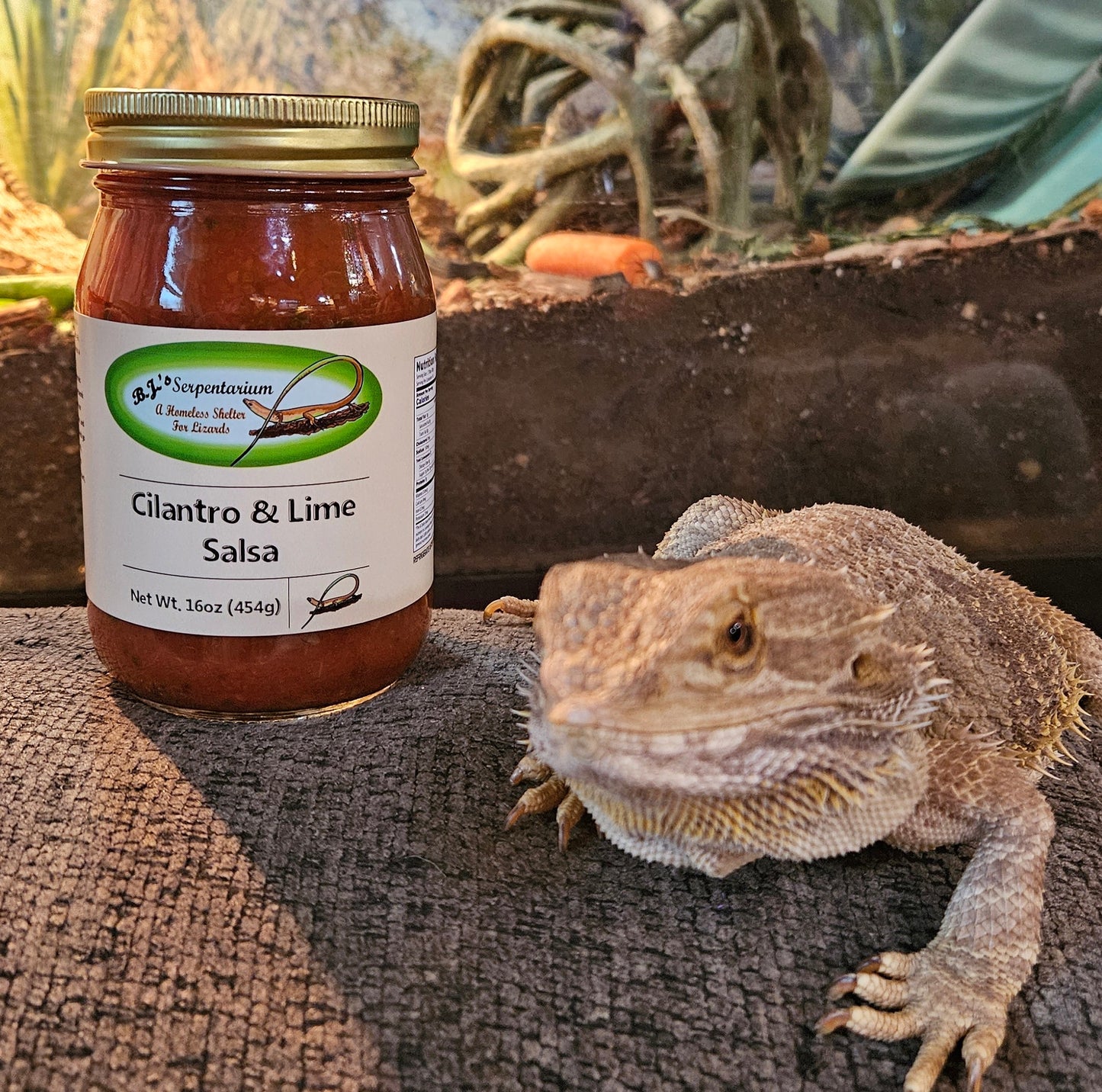 CILANTRO LIME SALSA