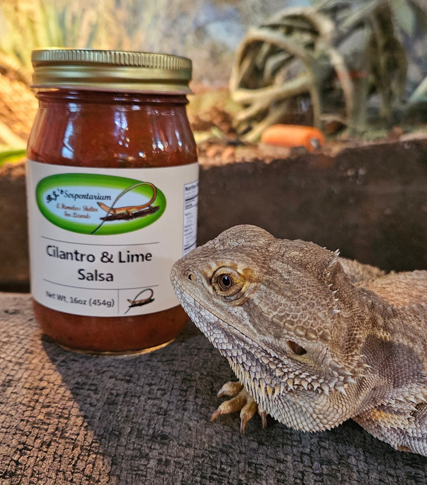 CILANTRO LIME SALSA