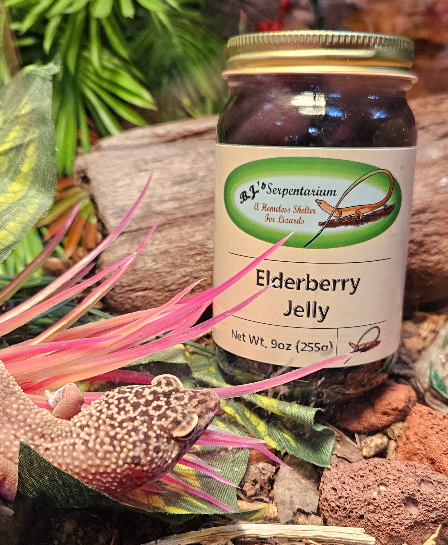 ELDERBERRY JELLY