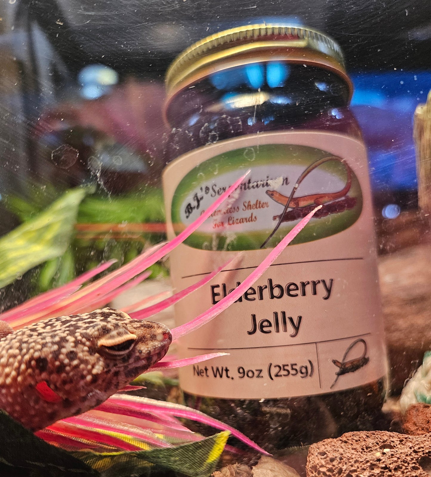 ELDERBERRY JELLY