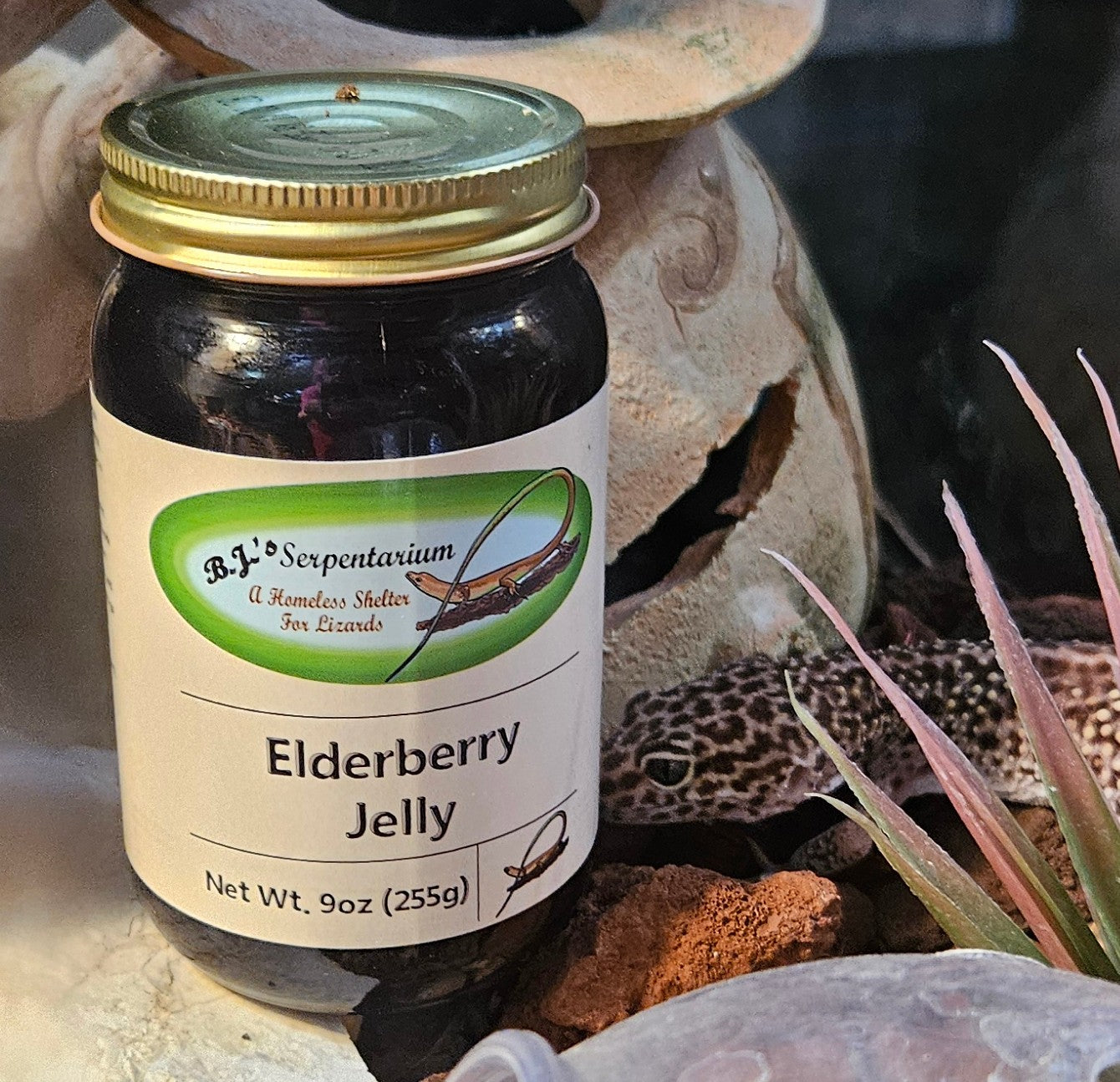 ELDERBERRY JELLY