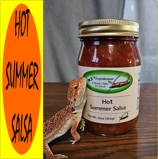 HOT SUMMER SALSA