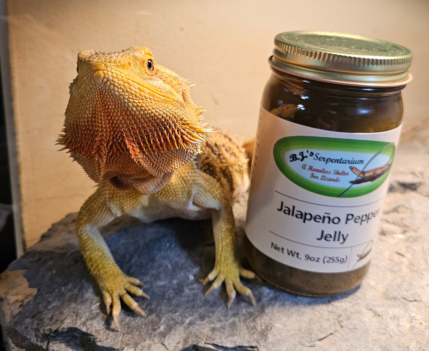 JALAPENO PEPPER JELLY