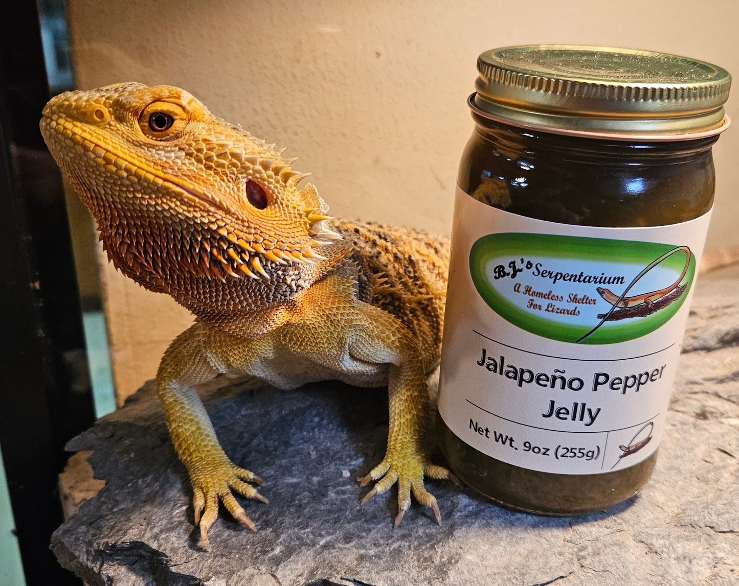JALAPENO PEPPER JELLY