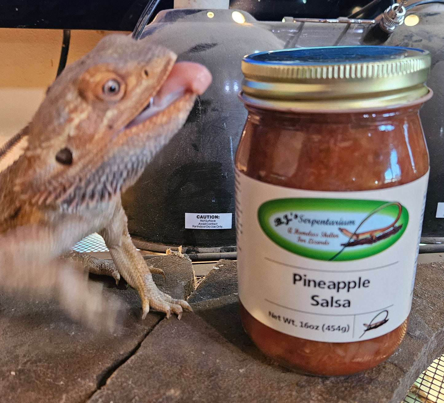 PINEAPPLE SALSA