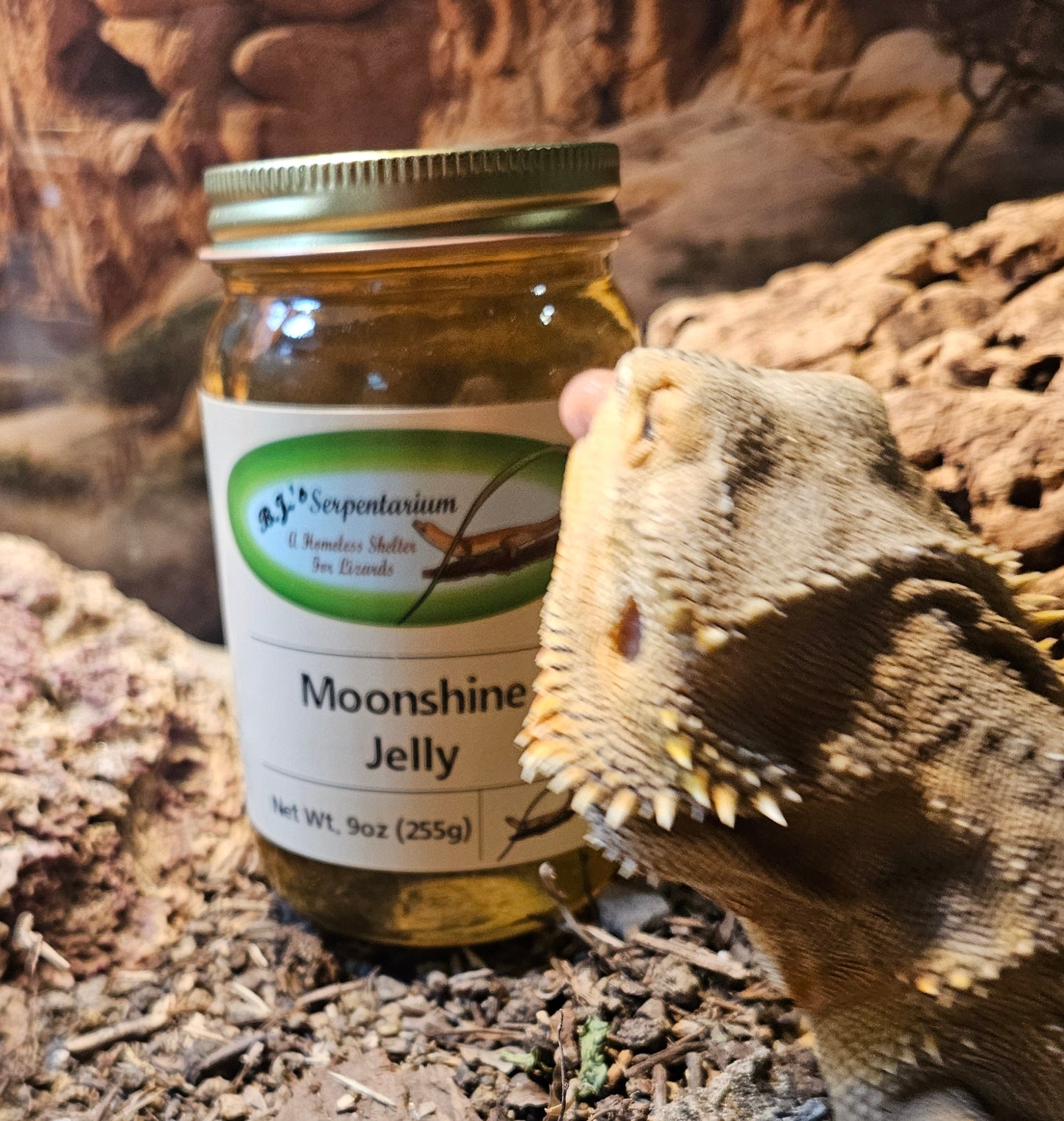 MOONSHINE JELLY