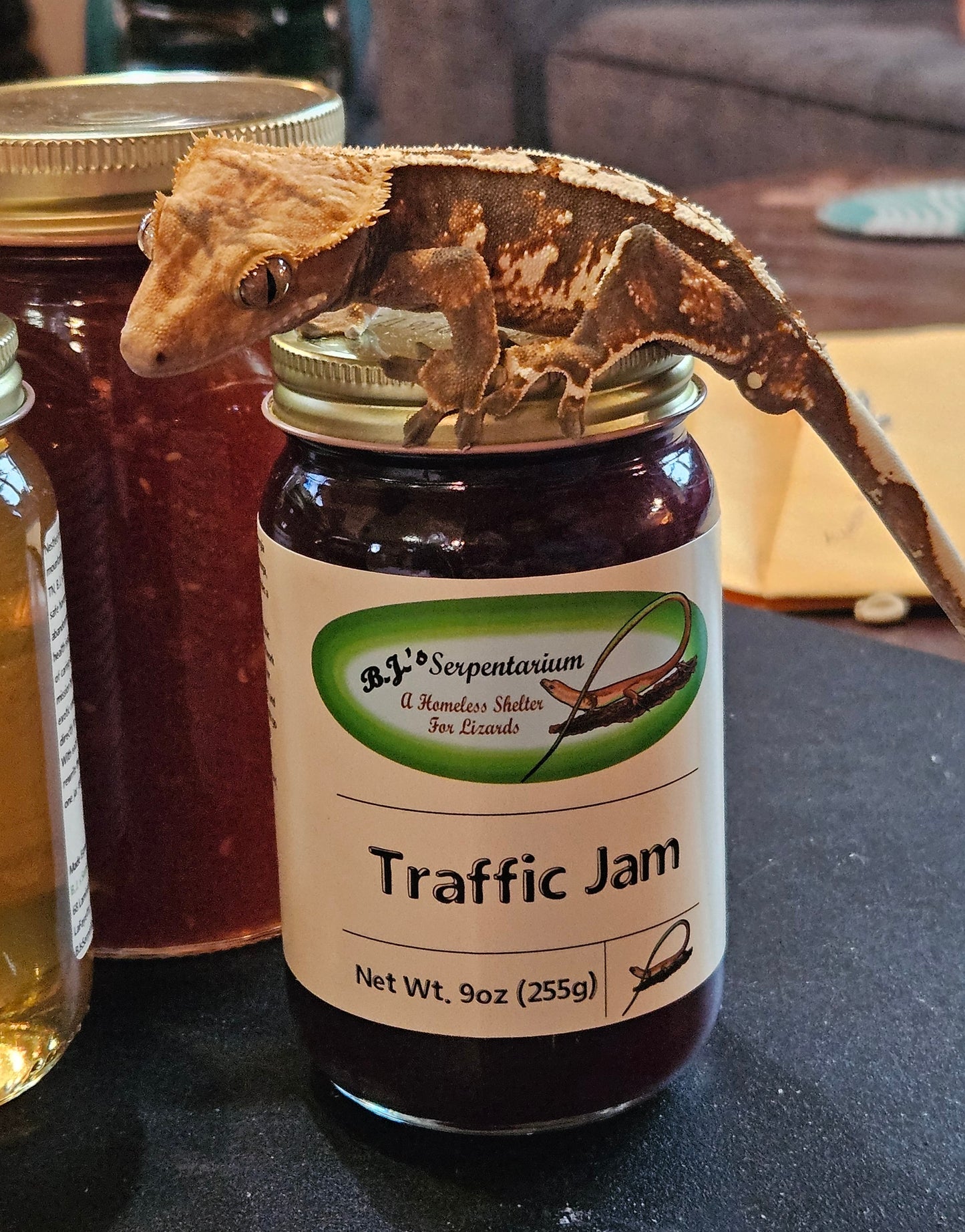 TRAFFIC JAM