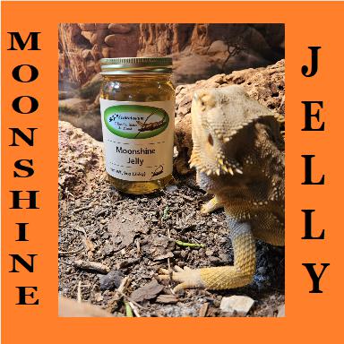 MOONSHINE JELLY