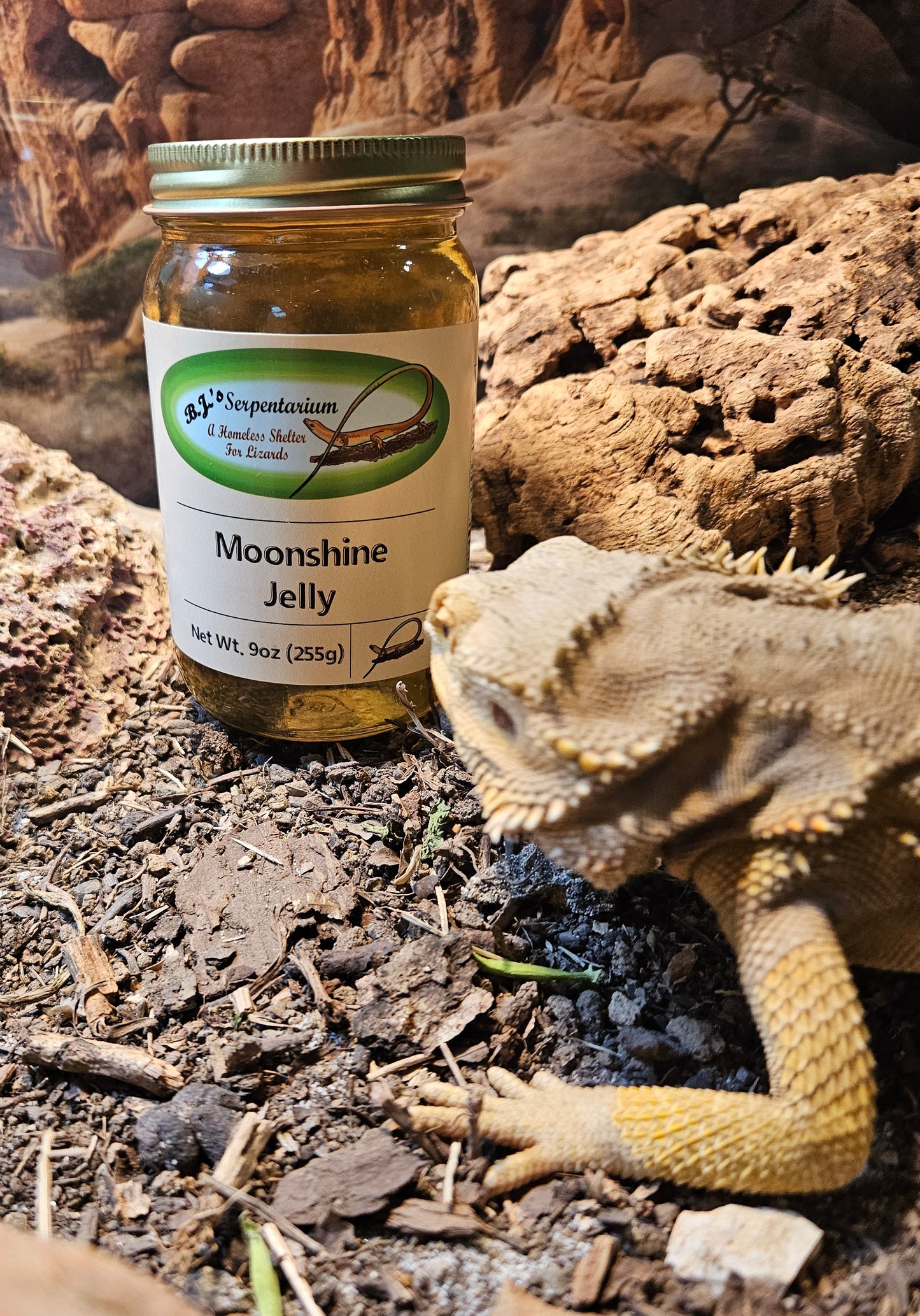 MOONSHINE JELLY