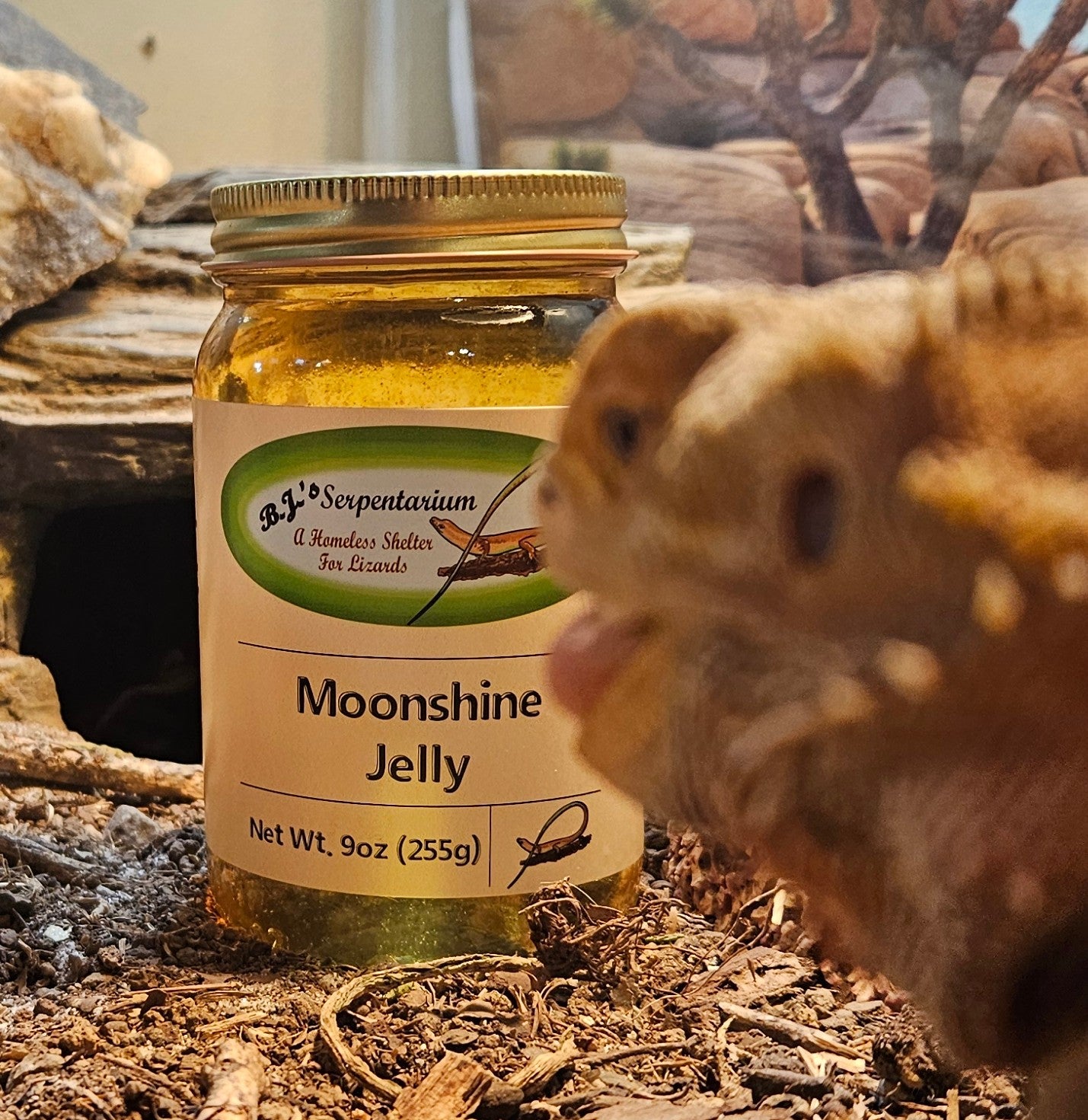 MOONSHINE JELLY