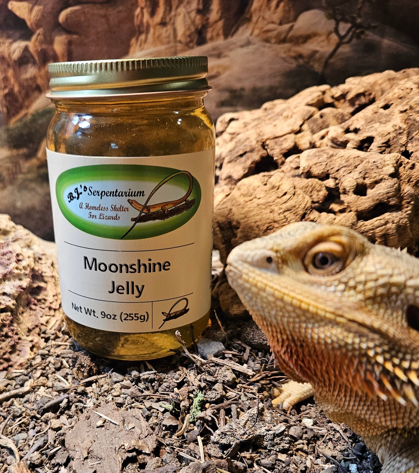 MOONSHINE JELLY