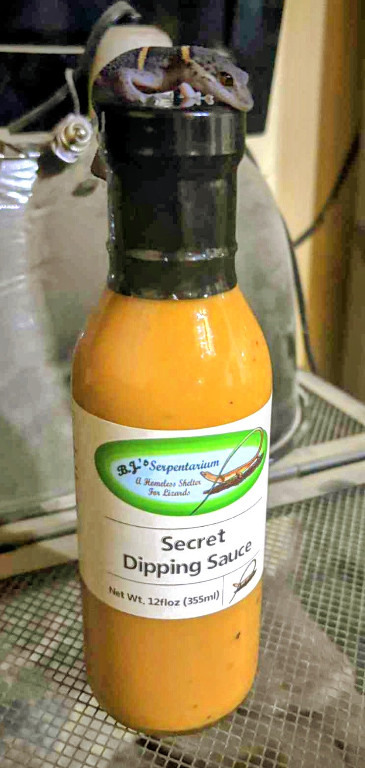 SECRET DIPPING SAUCE