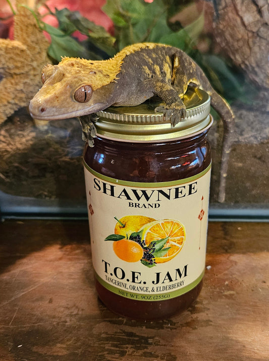 T.O.E. JAM