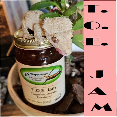 T.O.E. JAM